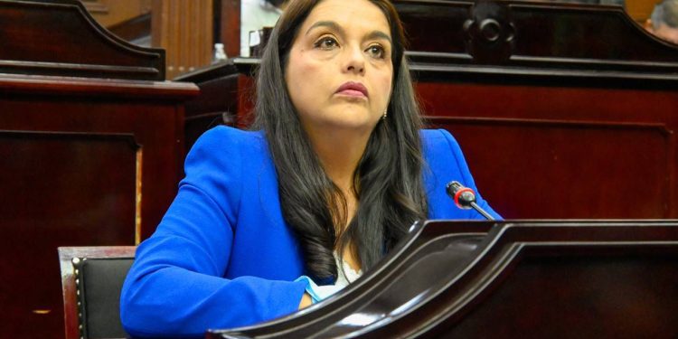 Va diputada Tere Herrera por la defensa de los derechos de las familias