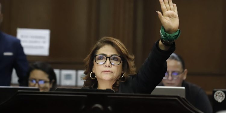 Despenalización del aborto, primer paso para garantizar derechos de las mujeres: Fabiola Alanís