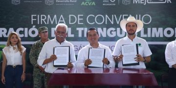 Asume Gobierno de Michoacán coordinación del Tianguis Limonero de Apatzingán