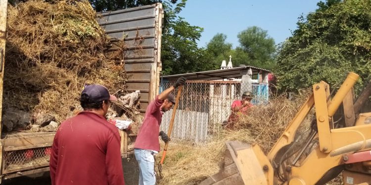 Continúa limpieza en el panteón previo al Día de Muertos en Apatzingán