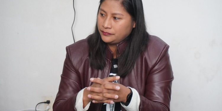 Renovación de la CNDH, en igualdad de condiciones: Celeste Ascencio