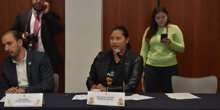 Exhorta Celeste Ascencio a legislar sobre acciones afirmativas