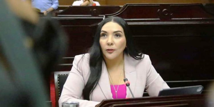 Congreso no puede ser omisos sobre lo que ocurre en Michoacán en materia de inseguridad: Adriana Campos