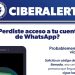 ¿Perdiste acceso a tu cuenta de Whatsapp? SSP te dice cómo recuperarla