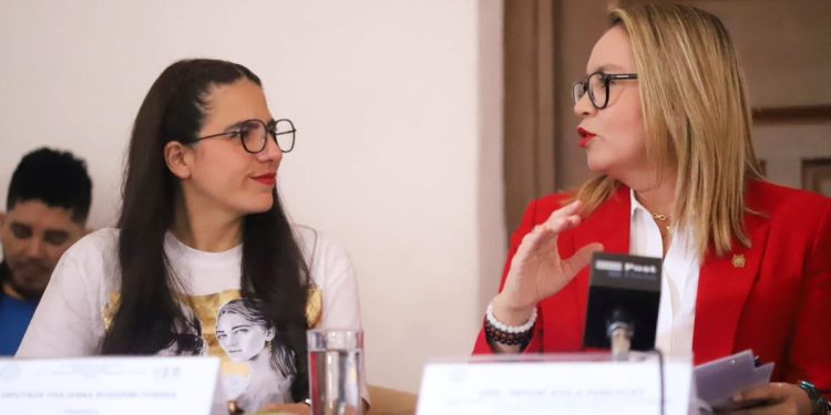 Histórico, la UMSNH con presupuesto pleno: Giulianna Bugarini