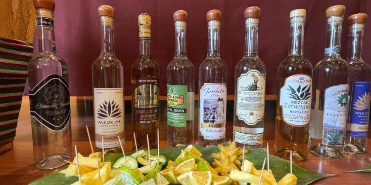 Congreso aporta a estabilidad de municipios con leyes de ingresos: Xóchitl Gabriela Ruíz González