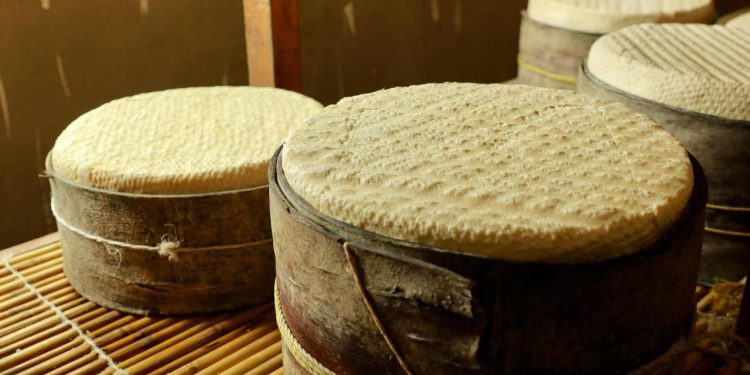 Ya viene la Feria del Queso de Cotija; tendrá más de 50 expositores