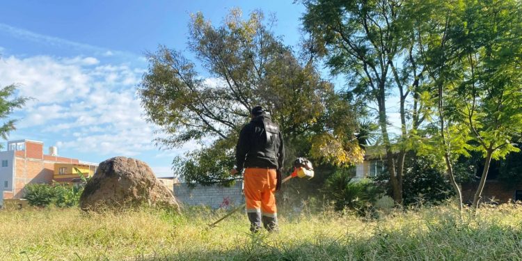 Gobierno de Morelia realiza jornada de limpieza integral en Valle Quieto