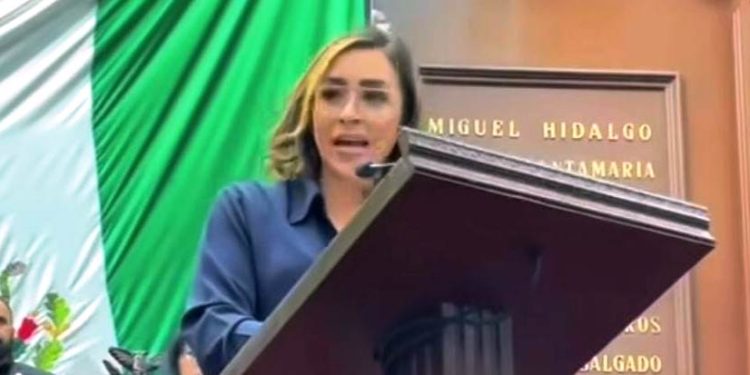 Reforma a Ley Orgánica de Administración Pública no garantiza transparencia ni rendición de cuentas: Grecia Aguilar Mercado