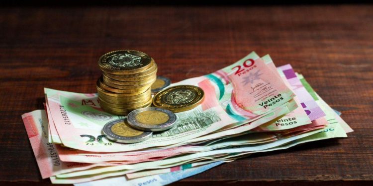 Inicia 2025 con aumento del 12 % al salario mínimo: Sedeco