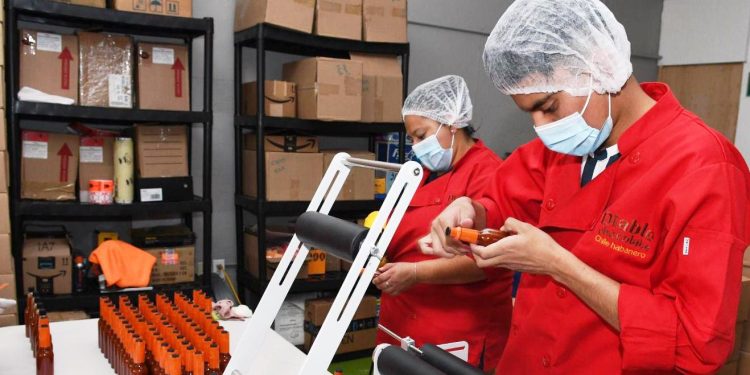 En Michoacán la meta es llegar a medio millón de empleos formales en 2025: Sedeco