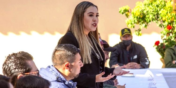 Trabajo coordinado entre el  estado y federación: Dayana