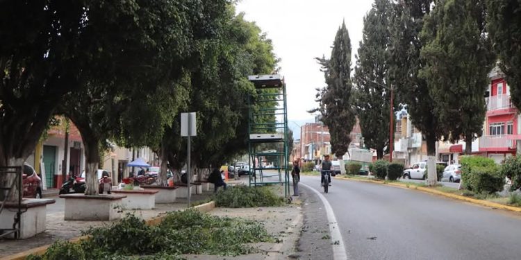 Alma Mireya González impulsa iniciativa por un Quiroga verde y saludable