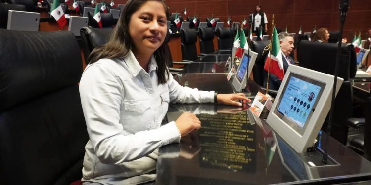 Celeste Ascencio celebra acuerdos entre México y EU