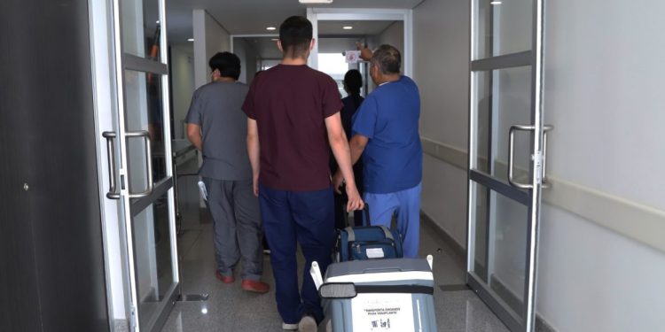 Renacen 73 vidas en Michoacán gracias a la donación de órganos: SSM