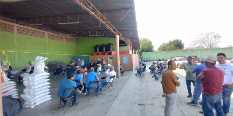 194 Productores de Apatzingán, reciben apoyo de fertilizante