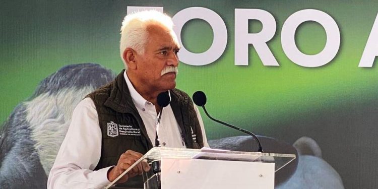 Productores del Bajío, con acceso a créditos de hasta 33 mdp para impulso al campo