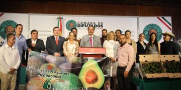 EXPORTACIÓN DE AGUACATE, FUNDAMENTAL EN LA BALANZA COMERCIAL CON LOS ESTADOS UNIDOS