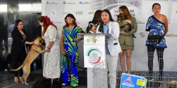 Celeste Ascencio: «Justicia para los animales»