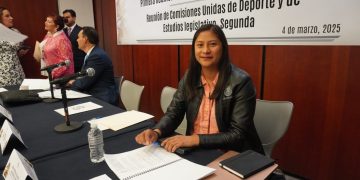 No a la difamación contra México: Celeste Ascencio