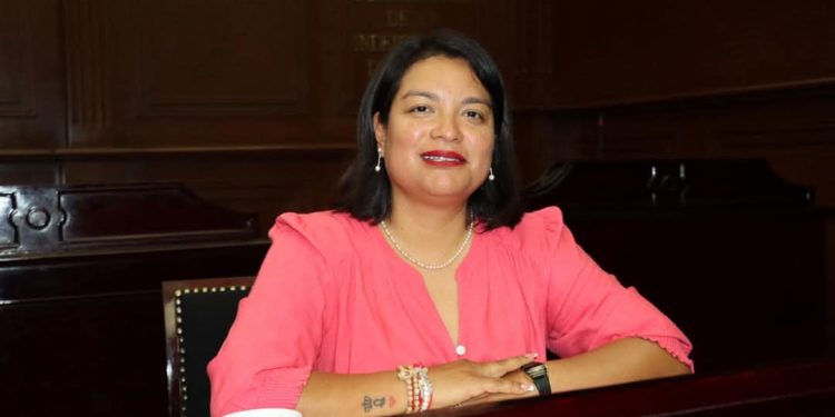 Propone Eréndira Isauro perseguir de oficio la violencia familiar en Michoacán