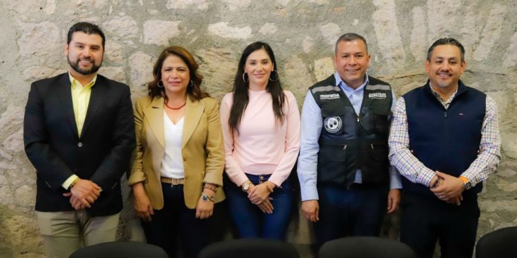 Proceso electoral judicial avanza en tiempo y forma: Fabiola Alanís