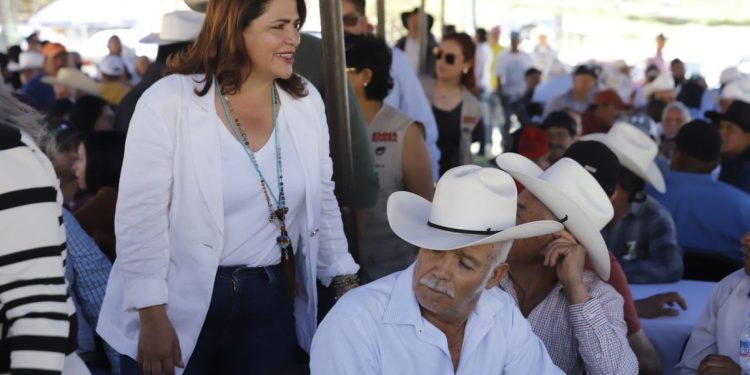 Campo michoacano, prioridad en la 4T: Fabiola Alanís
