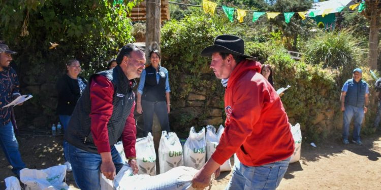 Más apoyo para el campo: Julio Arreola entrega fertilizante a productores de Condémbaro