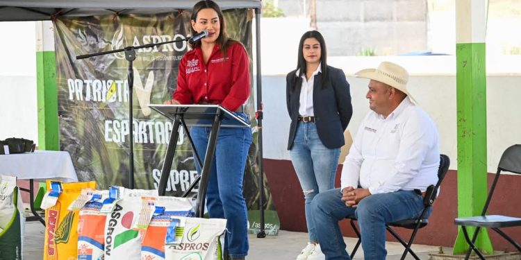 Gobierno de Zacapu impulsa agricultura local con entrega de maíz a más de 160 productores: Mónica Valdez