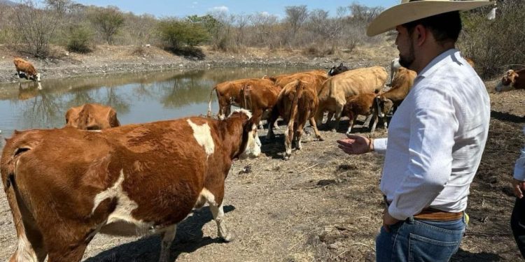 PRD Michoacán cierra filas con productores ante aranceles de Estados Unidos: Octavio Ocampo