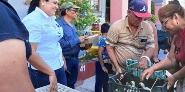 Ayuntamiento de Apatzingán realiza la segunda entrega de pollas de traspatio.