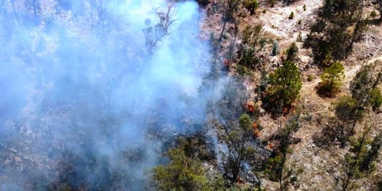 Apagan brigadas 14 incendios forestales en Michoacán: Cofom