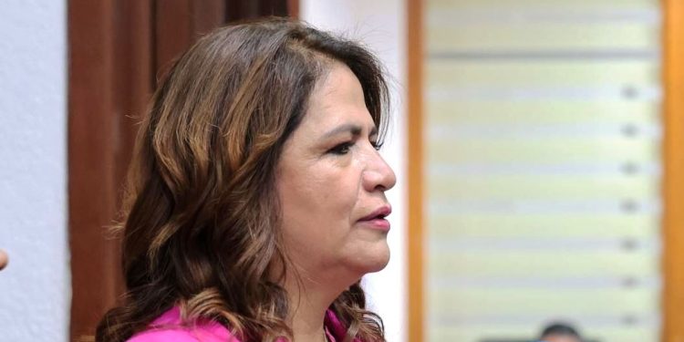 Ley contra la apología del delito no violará derecho a la libertad de expresión: Fabiola Alanís