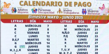 En curso pago de Pensiones y programas de Bienestar: Ariadna Montiel