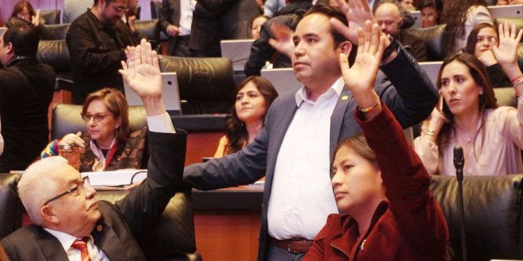 Senado avanza contra el lavado de dinero: Celeste Ascencio