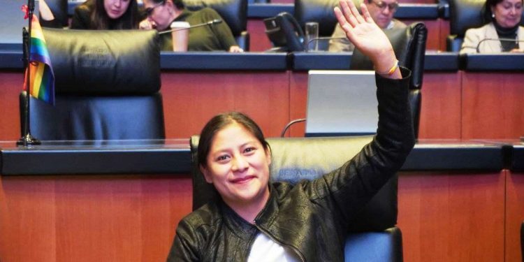 Senadora Celeste Ascencio respalda reformas para fortalecer la búsqueda e identificación de personas desaparecidas