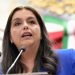 Inició una etapa obscura para la democracia en el país: diputada Tere Herrera