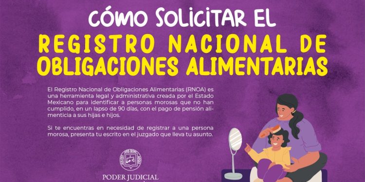 Difunde el Poder Judicial de Michoacán los requisitos para solicitar registro de deudores alimentarios