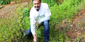 Julio Arreola encabeza jornada de reforestación con más de 2 mil ahuehuetes en Urandén