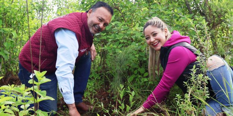 Julio Arreola arranca campaña de reforestación 2025 en Pátzcuaro