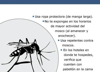 Recomienda IMSS Michoacán tomar medidas preventivas contra el dengue