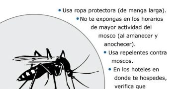 Recomienda IMSS Michoacán tomar medidas preventivas contra el dengue