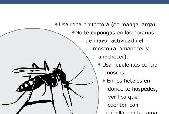 Recomienda IMSS Michoacán tomar medidas preventivas contra el dengue
