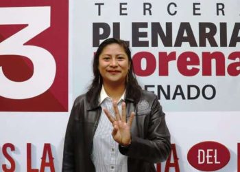 Senadoras y Senadores de Morena reafirmamos nuestro compromiso con el pueblo de México: Celeste Ascencio