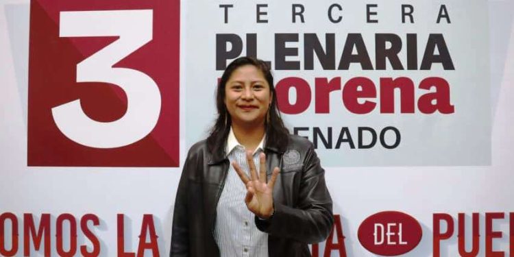 Senadoras y Senadores de Morena reafirmamos nuestro compromiso con el pueblo de México: Celeste Ascencio