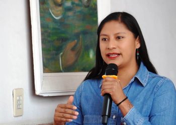 Senadora Celeste Ascencio inicia ruta de trabajo con comunidad migrante en Chicago, Illinois