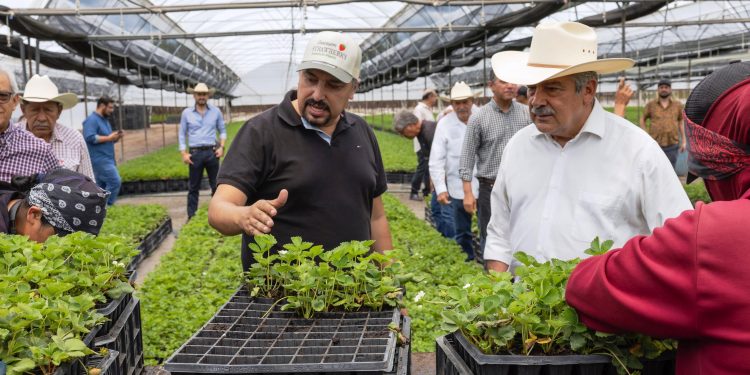 Raúl Morón, el aliado para potenciar el campo michoacano
