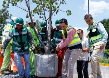 SCOP reubica más de 100 árboles por obra de distribuidor salida a Pátzcuaro