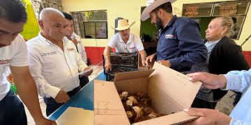 Impulsa Tarímbaro la economía familiar con entrega de pollitas de doble propósito