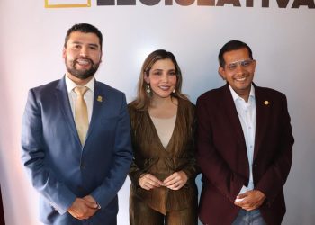 Más de 40 iniciativas destacan el trabajo del PRD en el Congreso